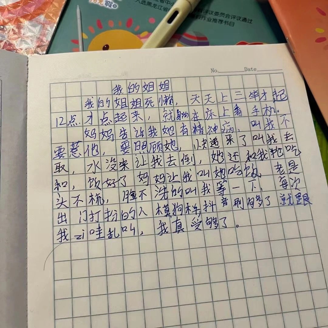 《我的姐姐》，弟弟这么会写不要命啦  #搞笑# ​​​
