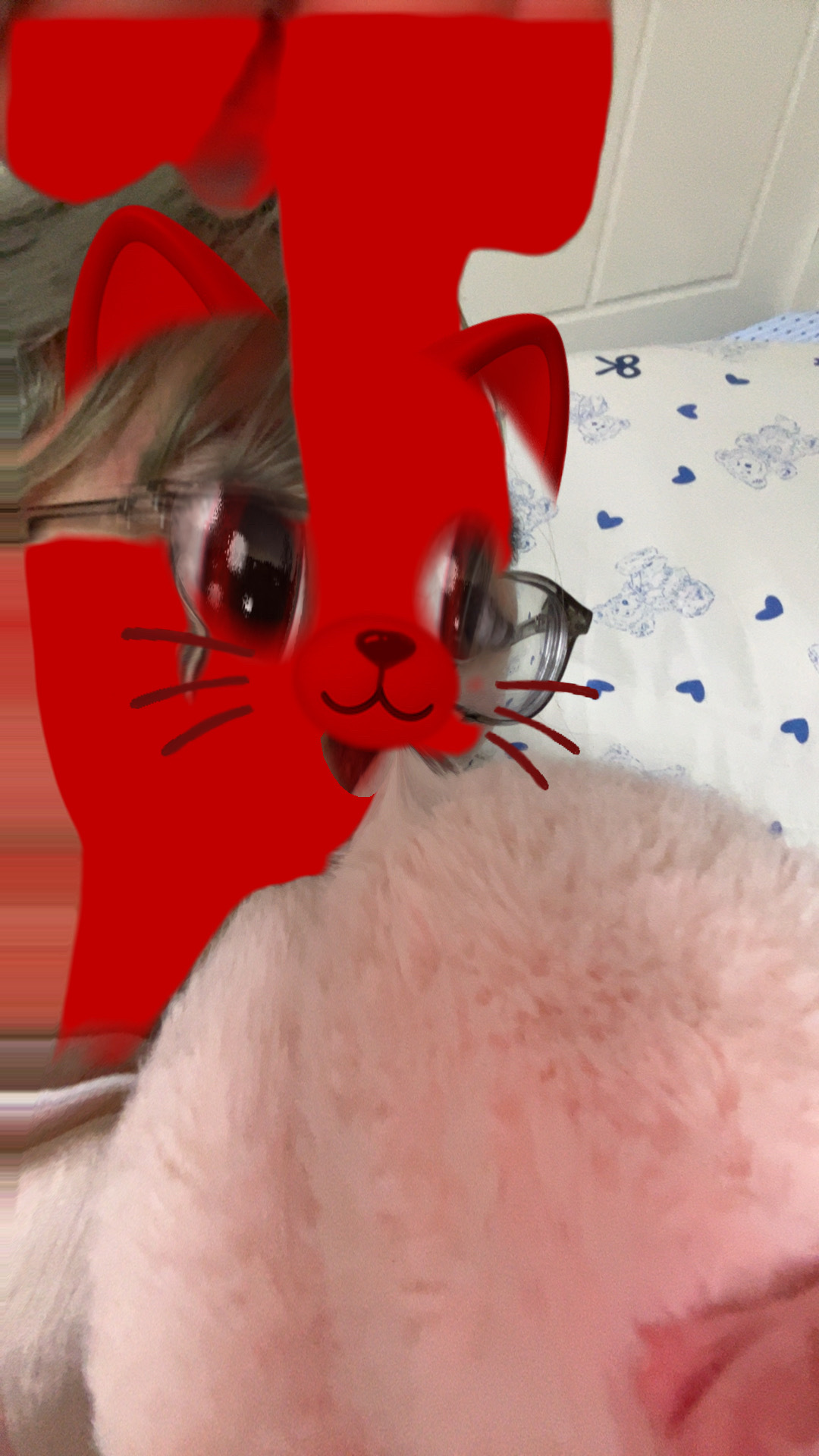 强吻一只猪？ 