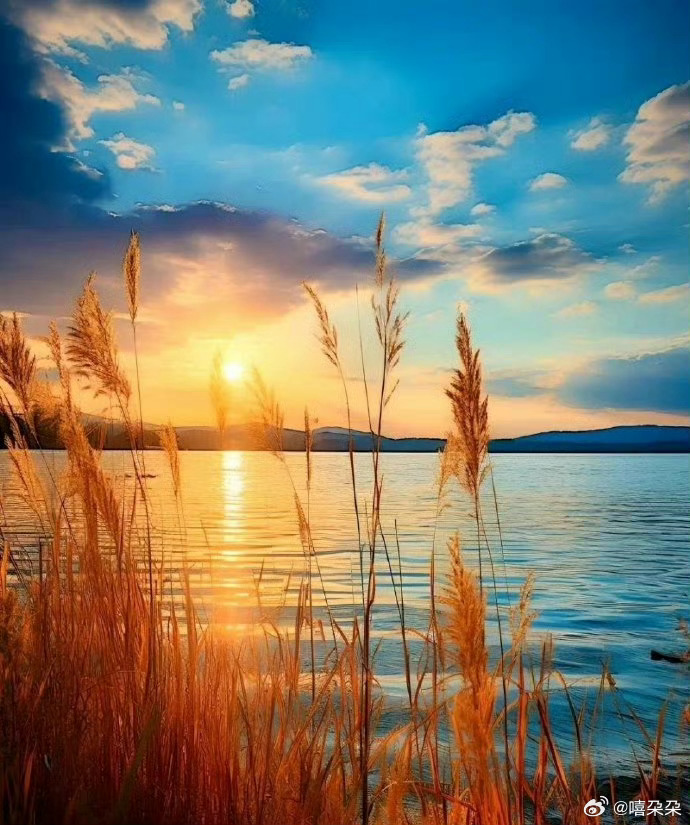 分享图片 ​​​