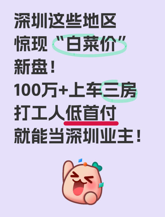 深圳买房惊现“白菜价”，100万买3房新盘