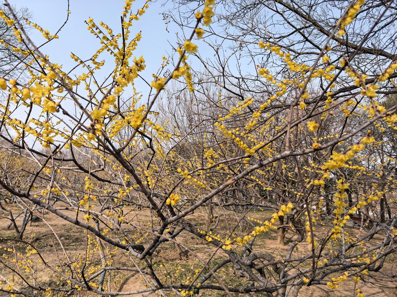 人生到底有什么意义？没有任何意义。