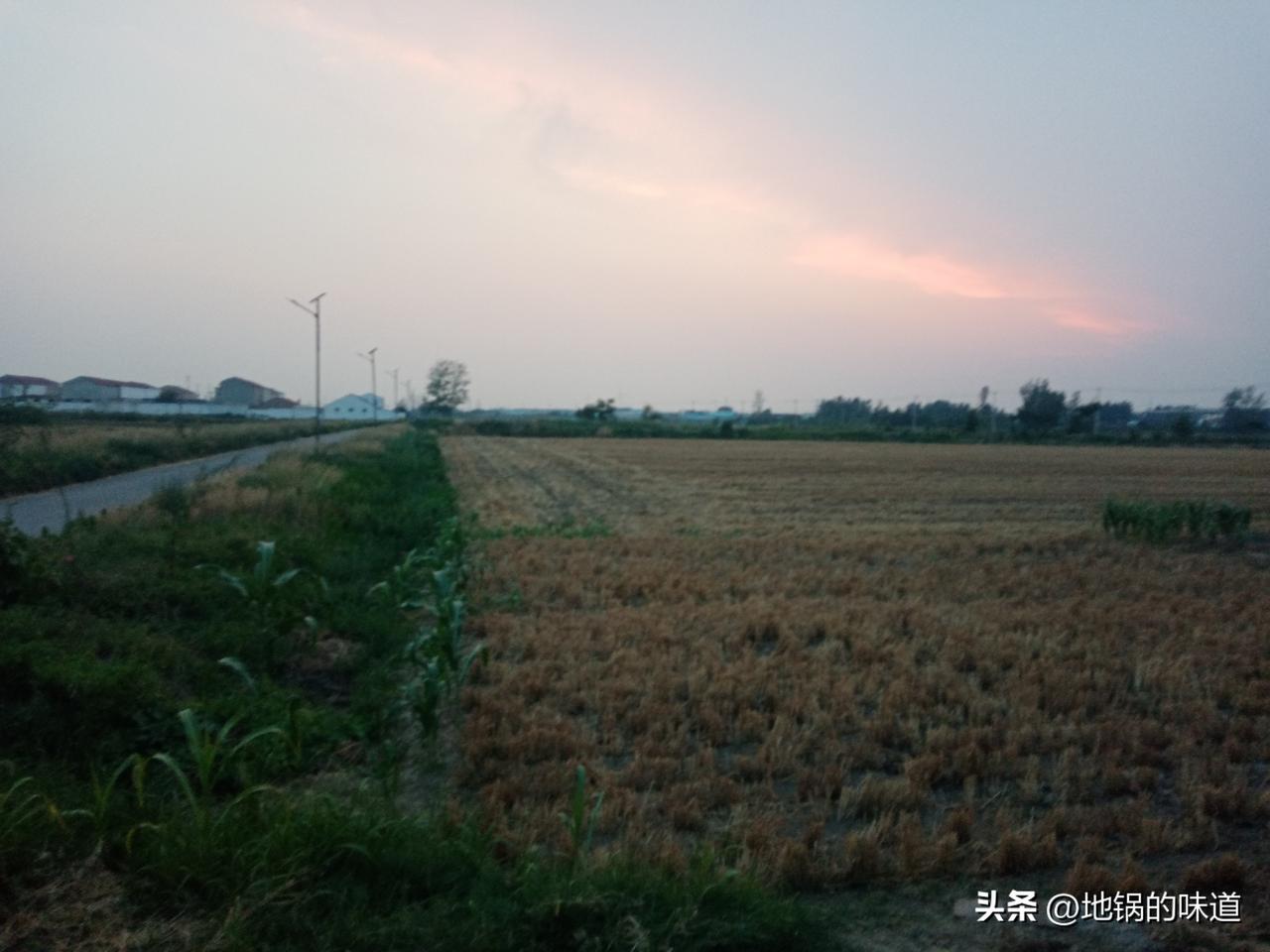 夏旱不夏旱，就看五月半
五月十五定旱涝
五月十五早看天，农民无忧好种田
五月十五