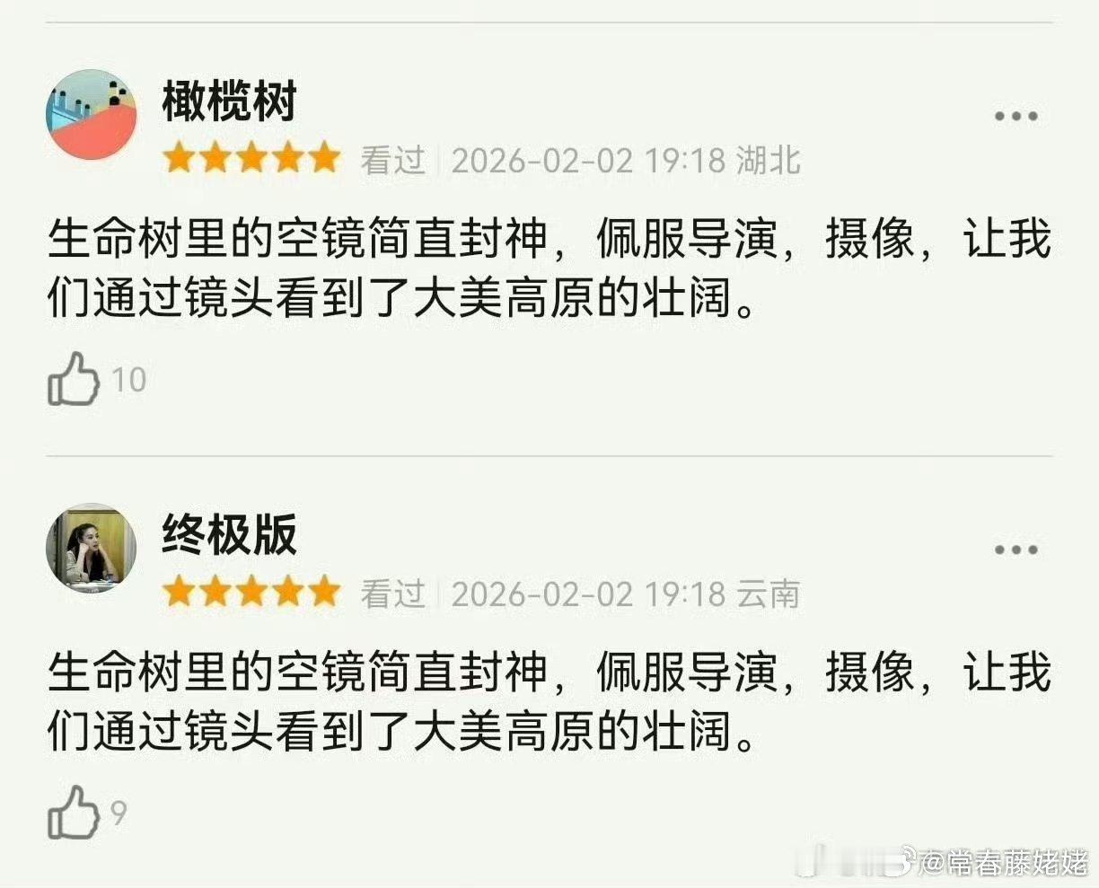 生命树的豆瓣短评，全是不同IP完全相同的话的5星短评，好神奇的操作 ，在收视率和