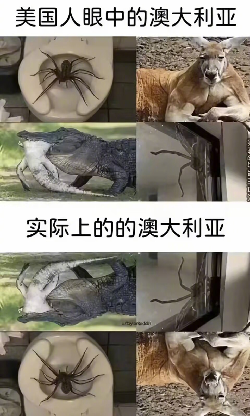 南半球笑话 ​​​