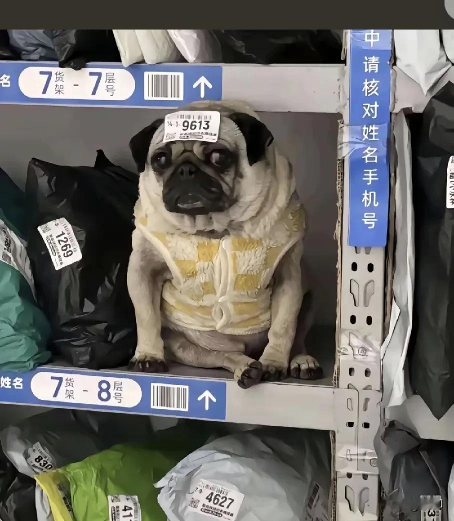 真的是移动的快递！哈哈哈！