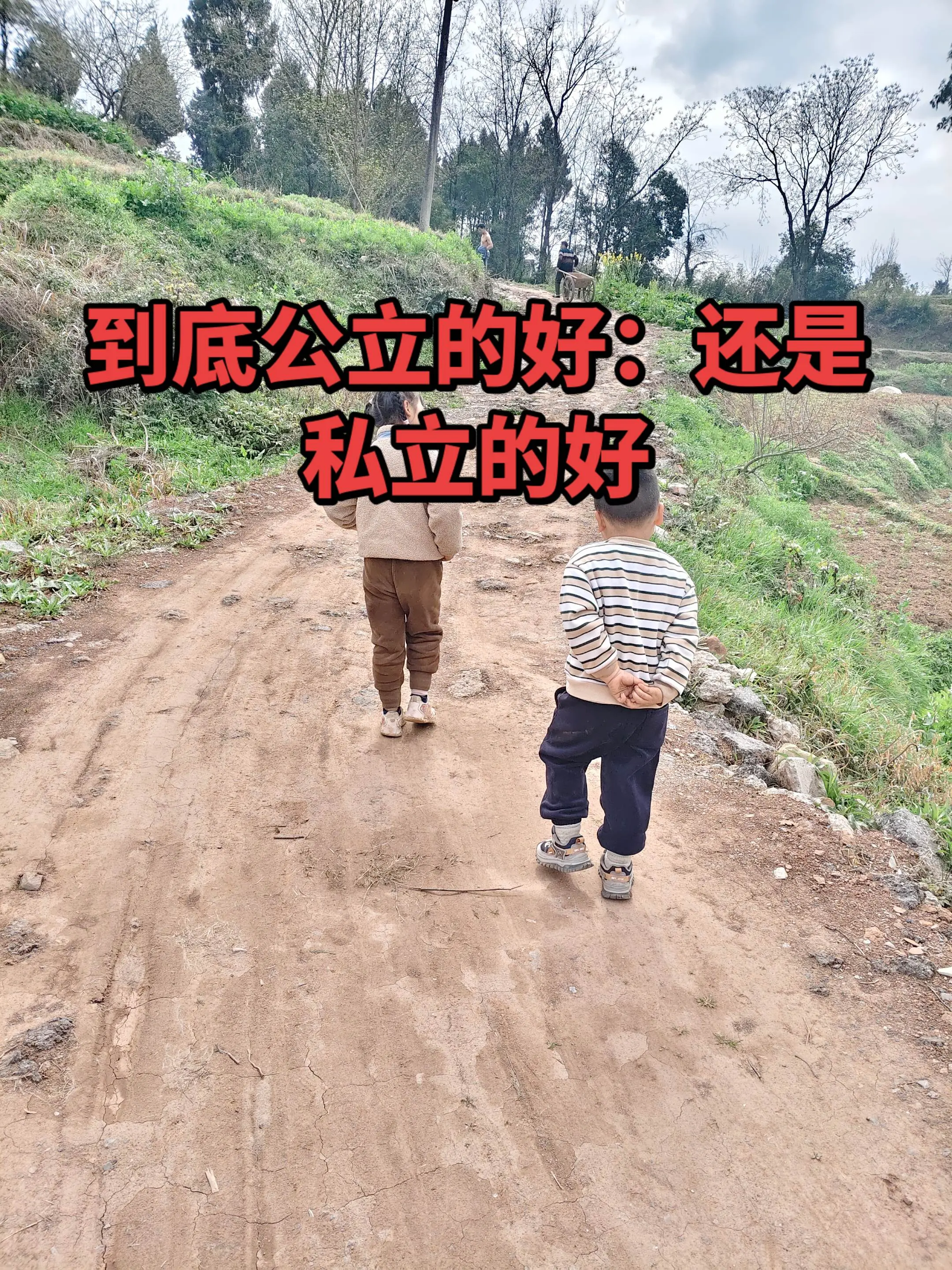 到底是公立学校好，还是私立的好，感觉公立的老师都好凶