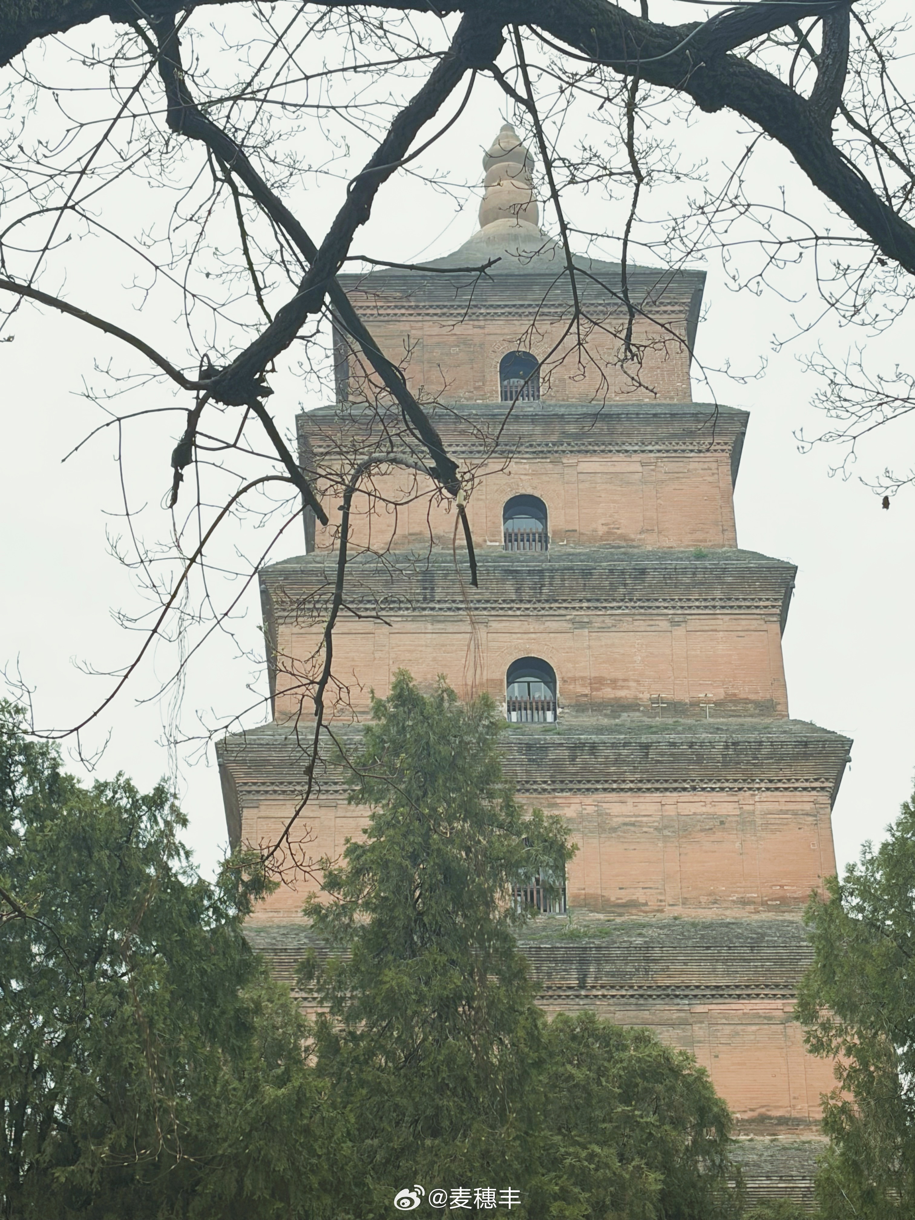 确实，烂怂大雁塔有什么好看的，不如我在香积寺拍到的塔。wcba全明星周末小麦出球