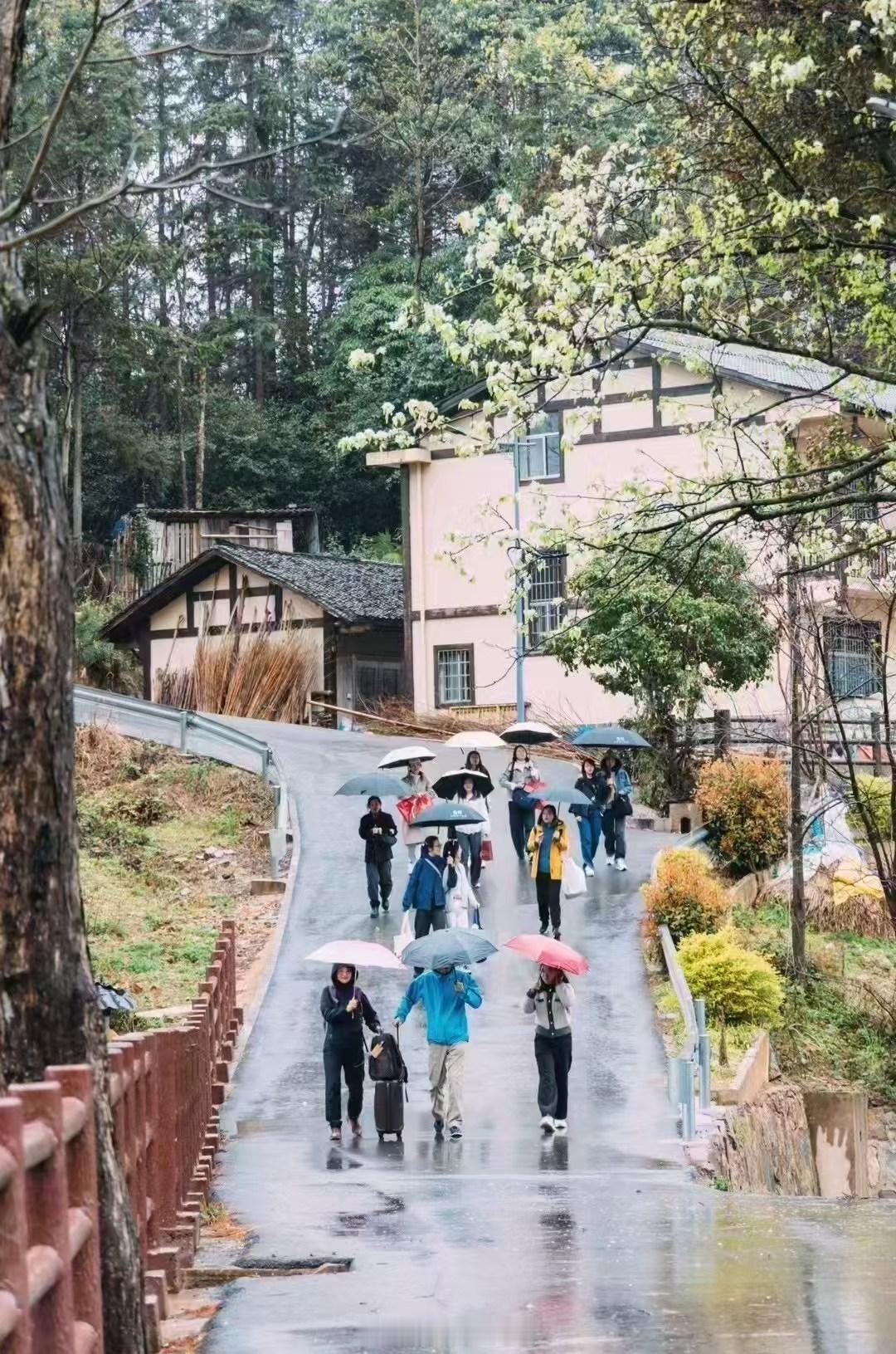 去年在湖南湘西做的公益，我给孩子们上了一节课，给一个班级捐赠了一个图书角，很真诚
