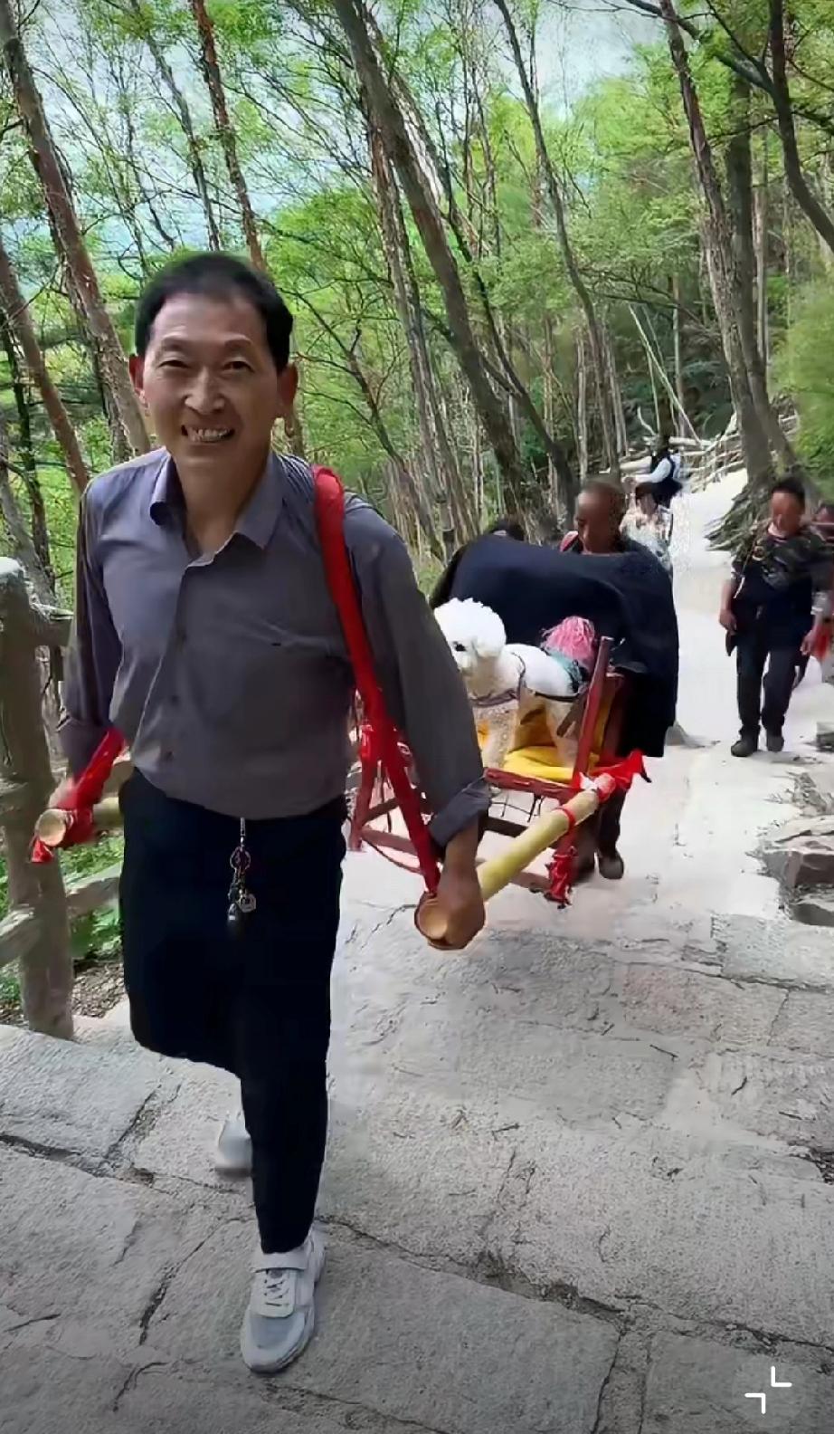 坐着轿子爬黄山的狗子，把路人羡慕坏了。。。狗拉车出游 狗抬上山 美女抬轿游黄山