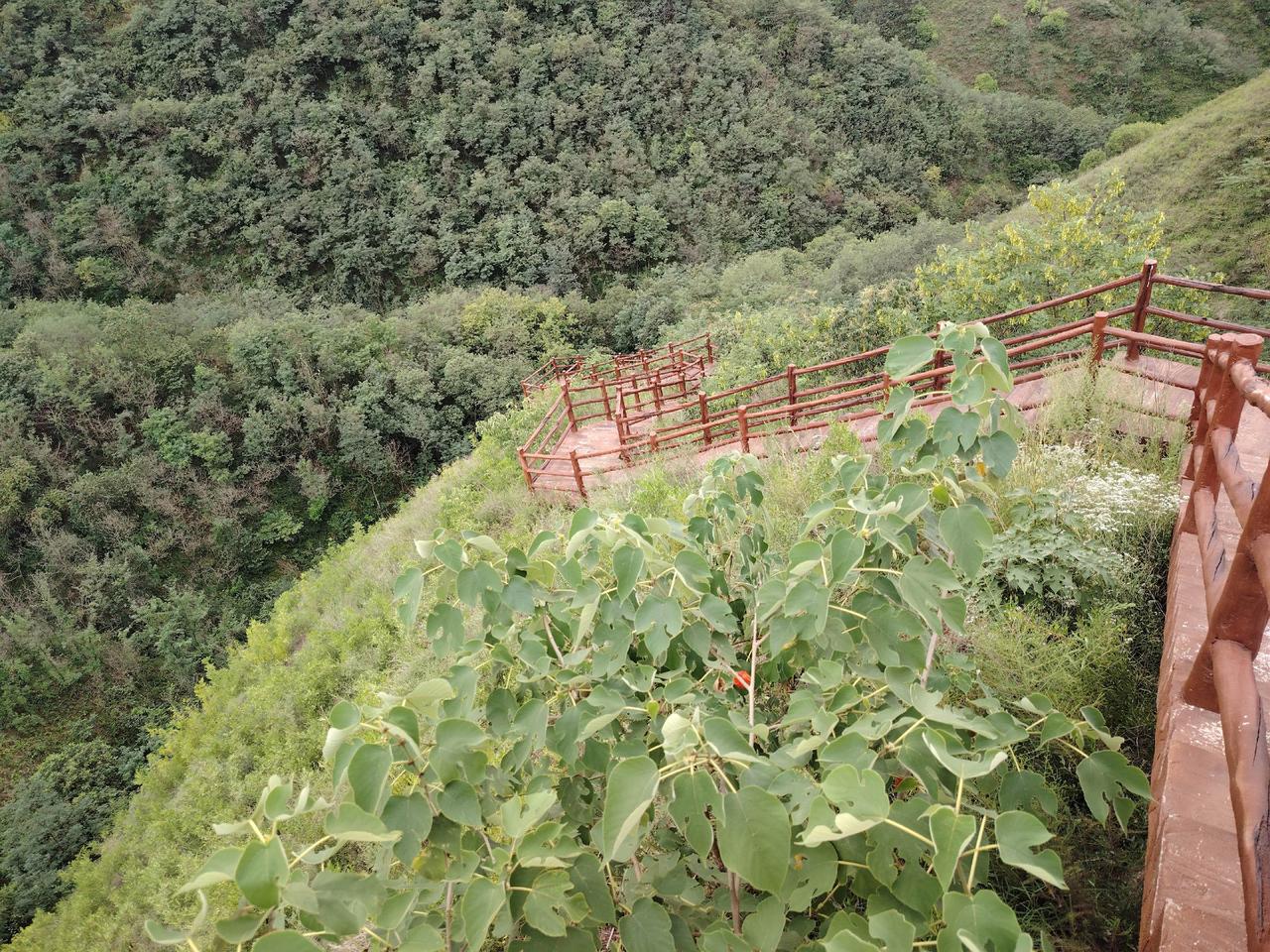 登上山顶看美景 天然氧吧 总有人翻山越岭为你而来 大山里的味道 住进风景里