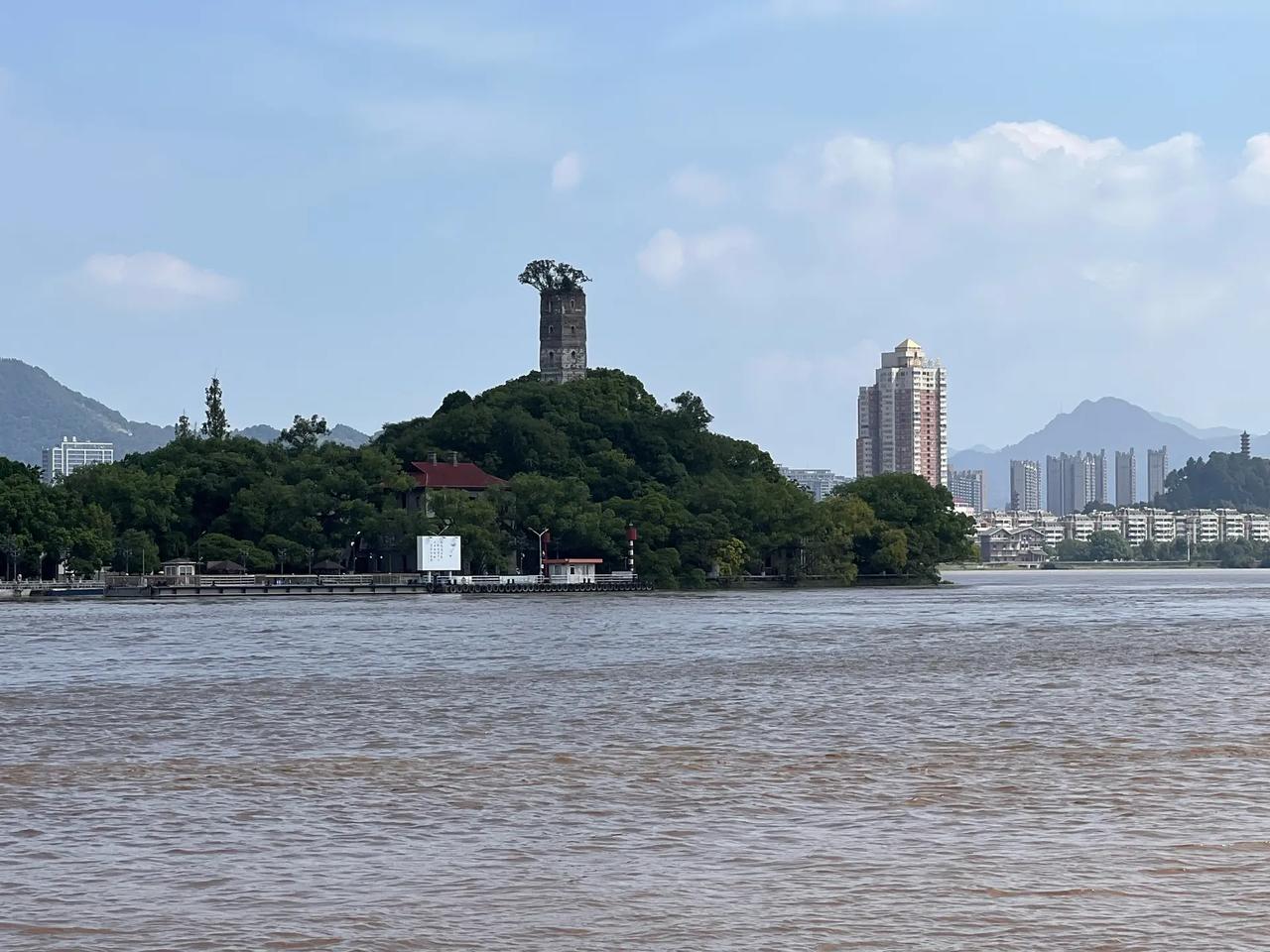 于海青：为何说温州江心屿应该有你的身影？ 早就知道温州有一个江心屿， 知名度很高