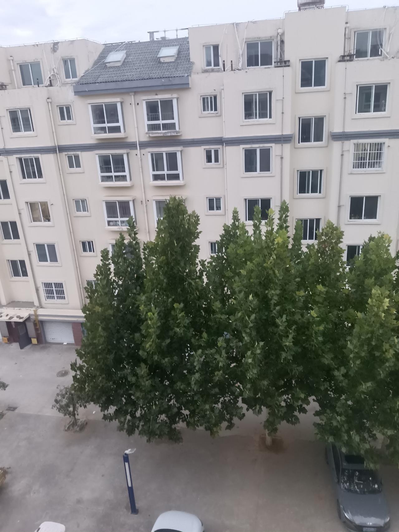 你知道老人挣钱有多难吗？你猜我73岁的老娘撕书皮六天挣了多少钱？
今天老娘跟我说