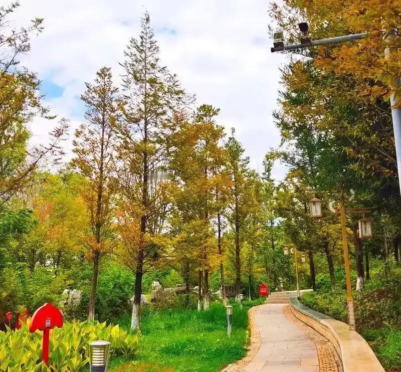《初冬风光》

日 渐 千 枝 瘦，
红 黄 一 地 稠。
西 风 飘 落 叶，