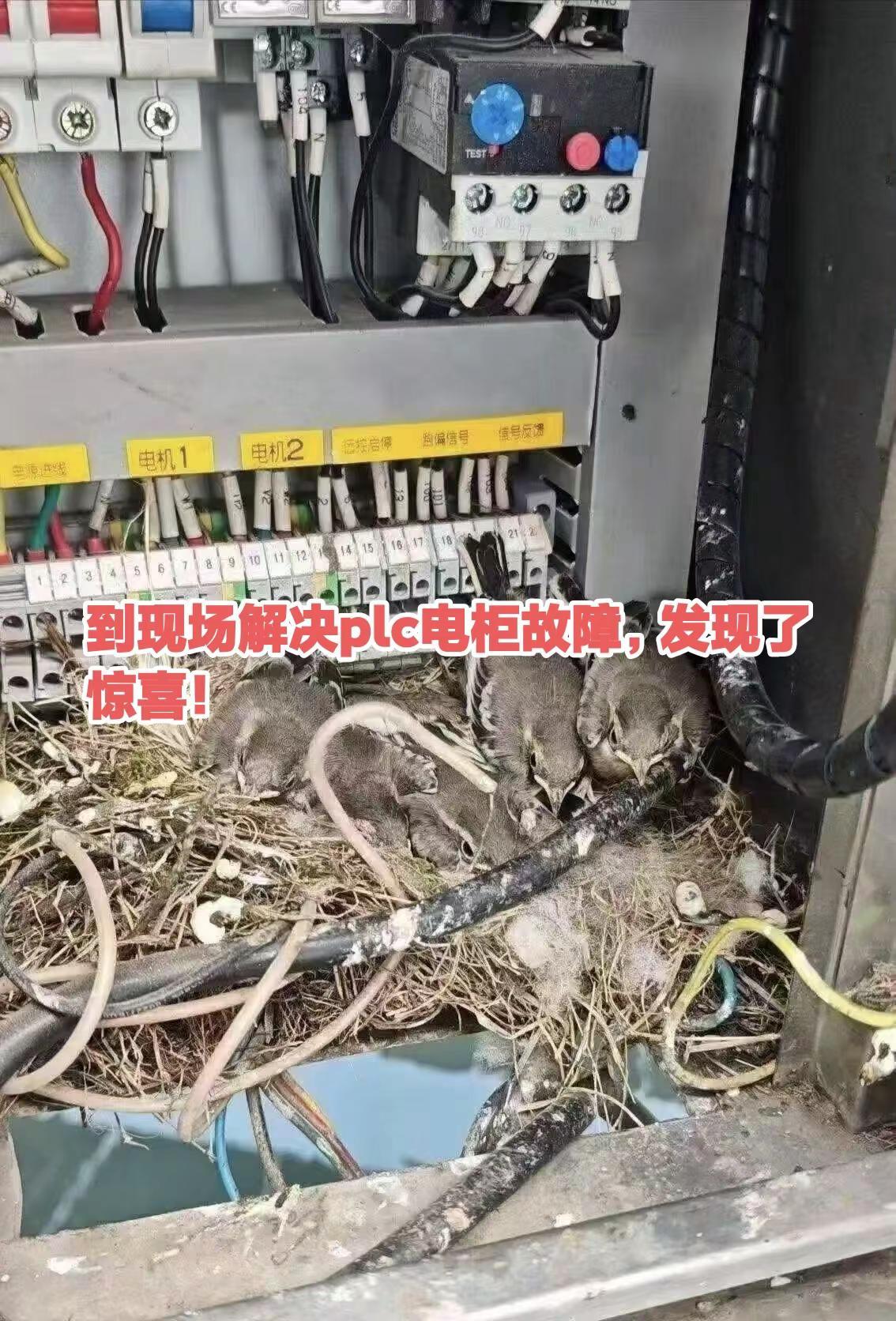 到现场解决plc电柜故障，发现了惊喜！