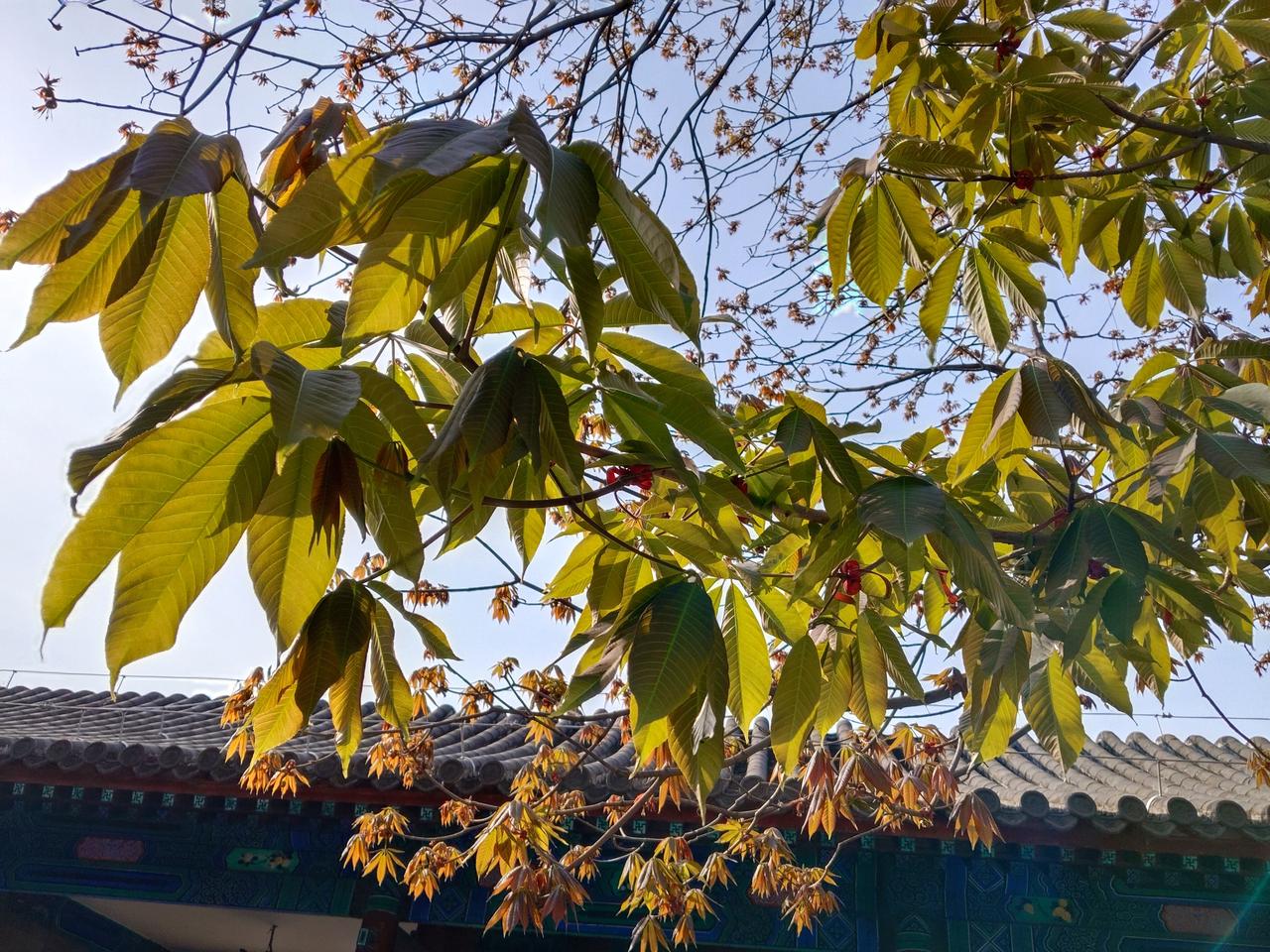 小学六年级的一男生和一女生在课堂上这样做，老师就该管！

贵州一小学六年老师正在