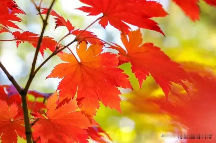 可是，最近就不是这样了。听闺女说，前两天，给我网购的保暖衣，因为不合适，今天中午