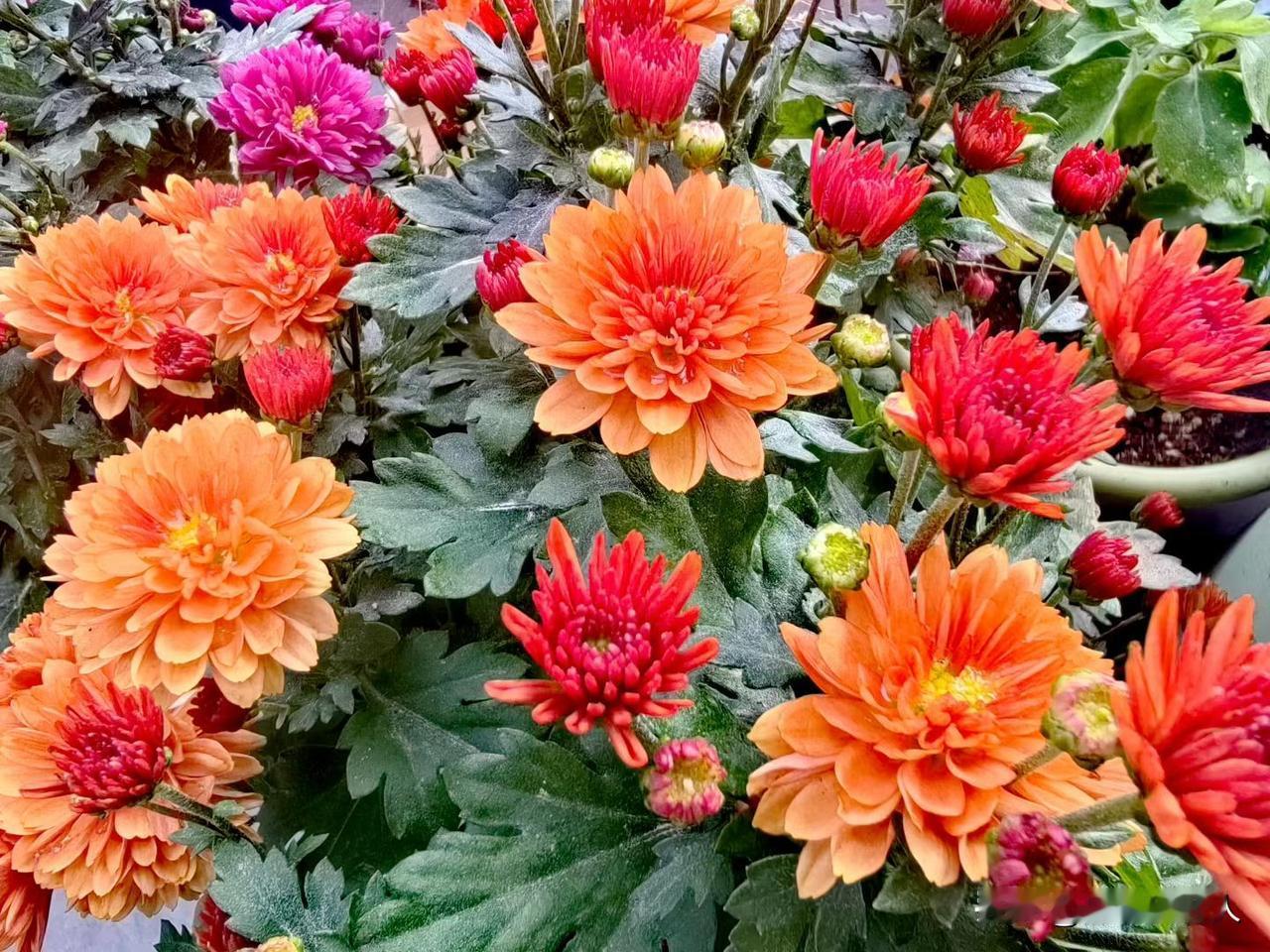 过来人的忠告：老人钱再多，难换回这三种福气
老李今年是82岁的老人了，他身体非常