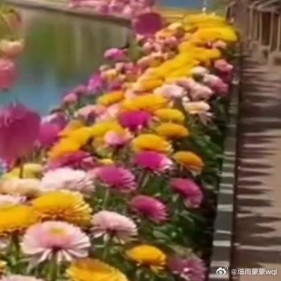 坐在游船上看着泛起鳞光的湖面，欣赏湖光山色，非常闲情逸致😎 