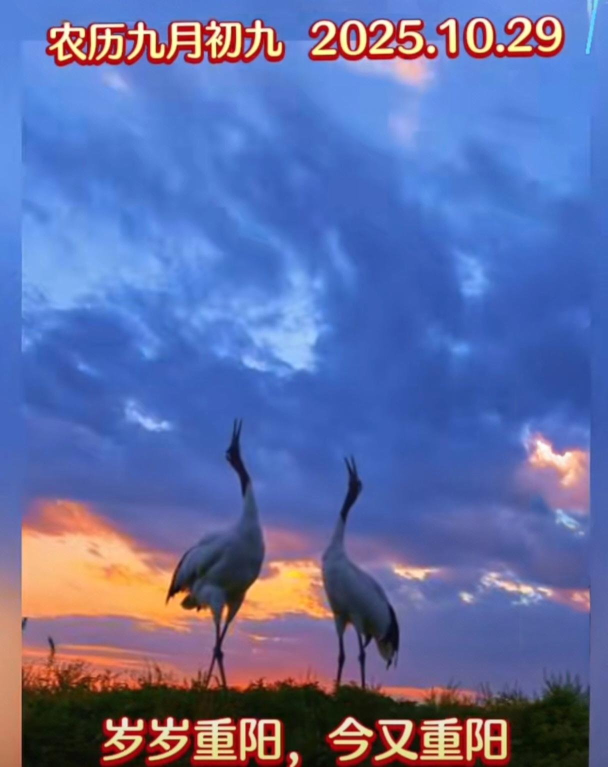 重阳节，我在岗值班，提前给老爹把好吃的做了～

一直以来，我炖的鱼都与老爹要求烂