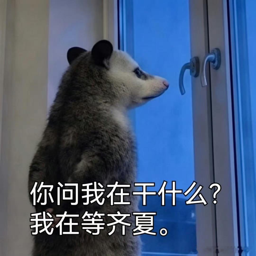 十日终焉笑死，每个人都在刷新到冒火星子