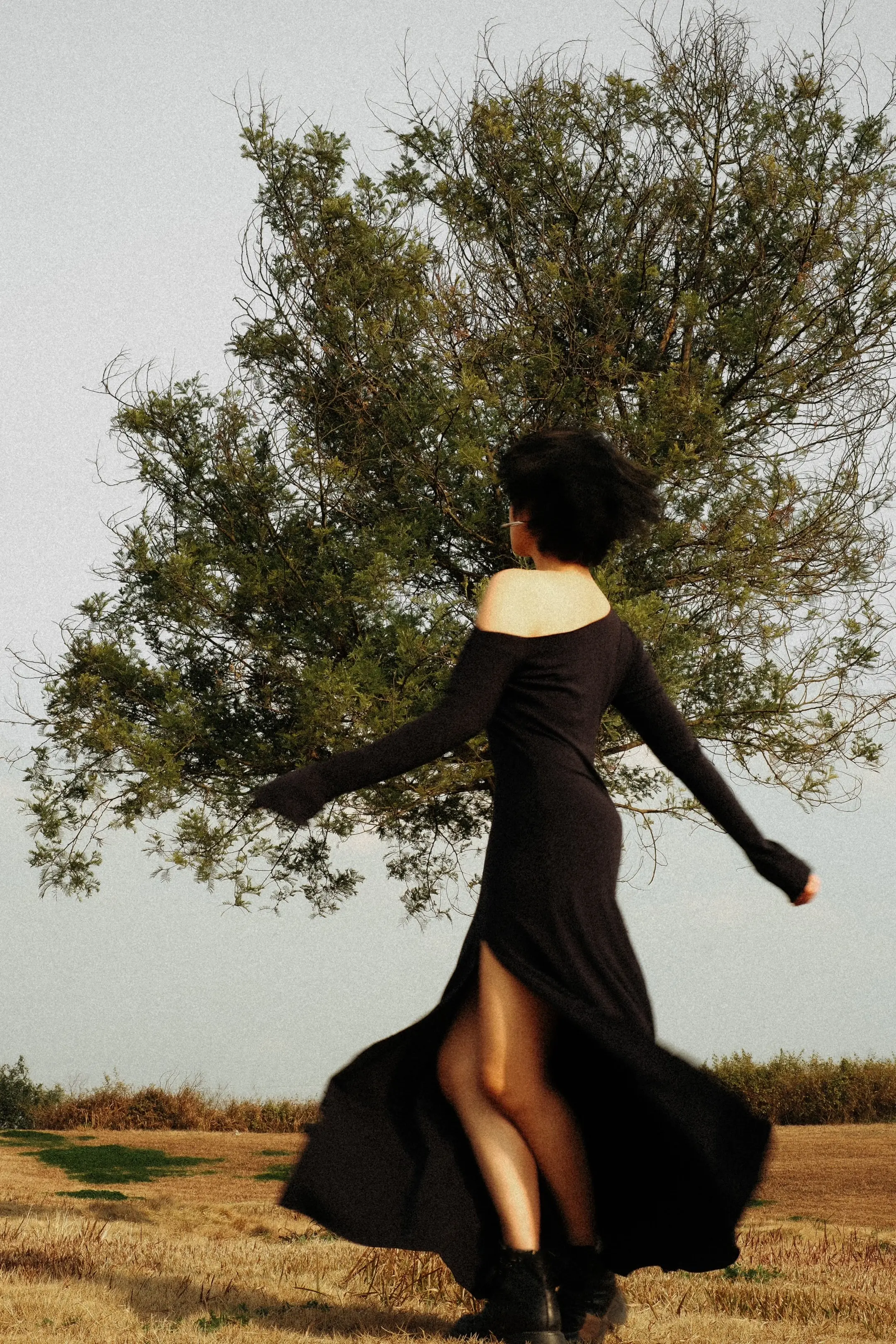 我们的生命 是一万次的春和景明。我们是自由而浪漫的花