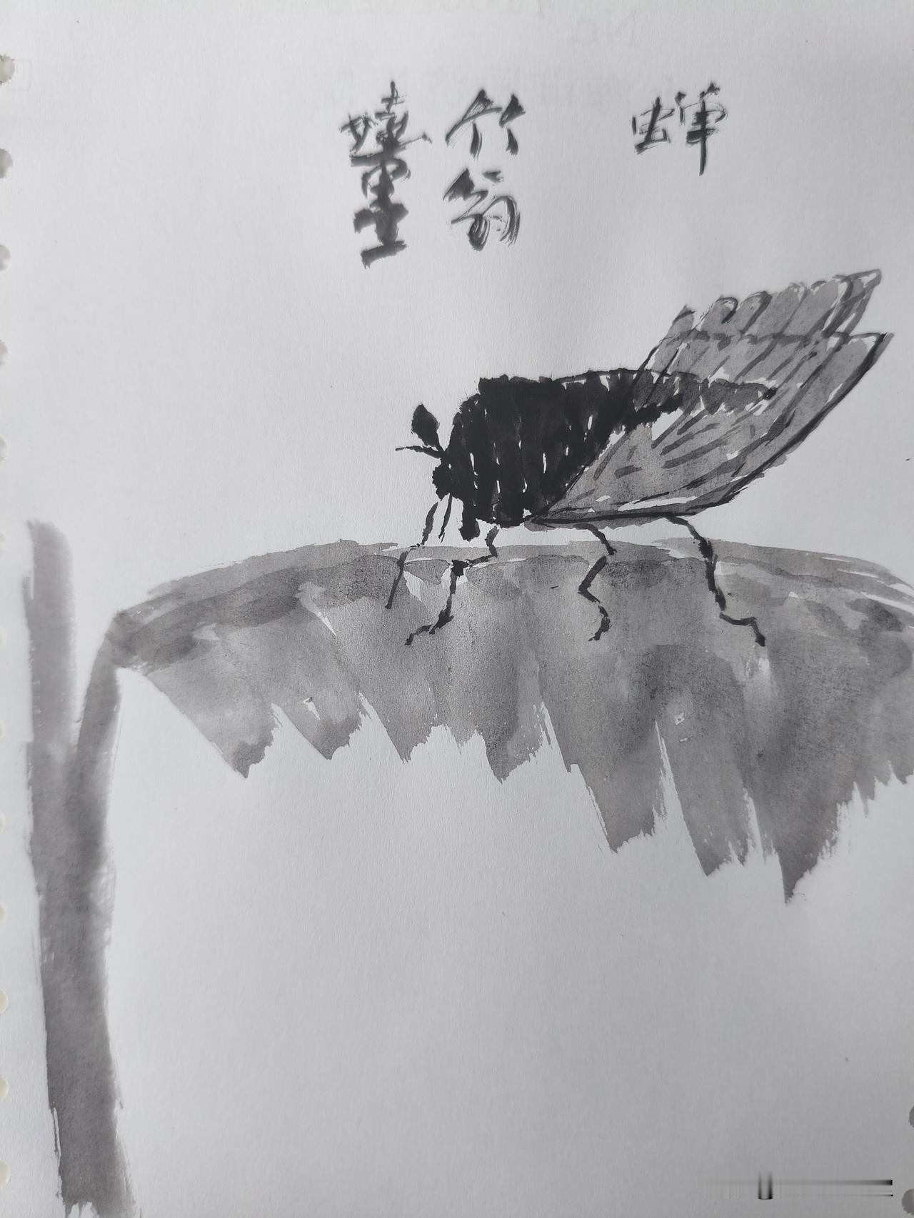 《丙午杂诗 横塘遇雨》
江南多雨，郊野荒沟，鹭立草长。岸柳皮老，苇叶清新，七律记