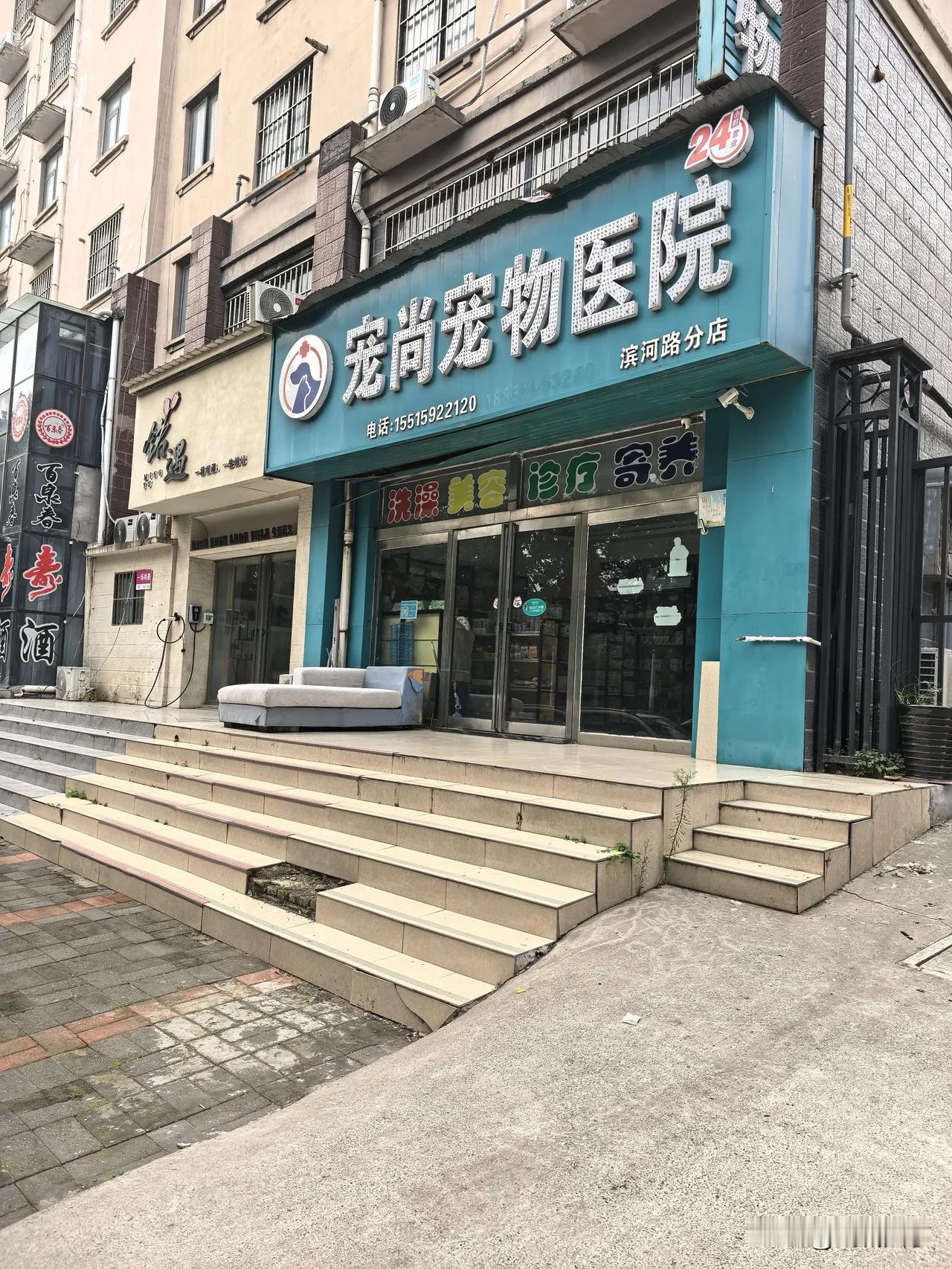 老同学说我在校园里呆傻了，我不服。这带着海蒂来宠物医院，我才意识到自己是真傻了。