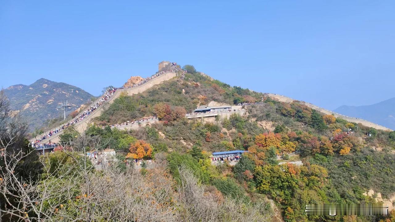 现在只剩下呼吸空气、晒太阳、在自己家里吃饭睡觉上厕所、步行走路不需要办会员了。