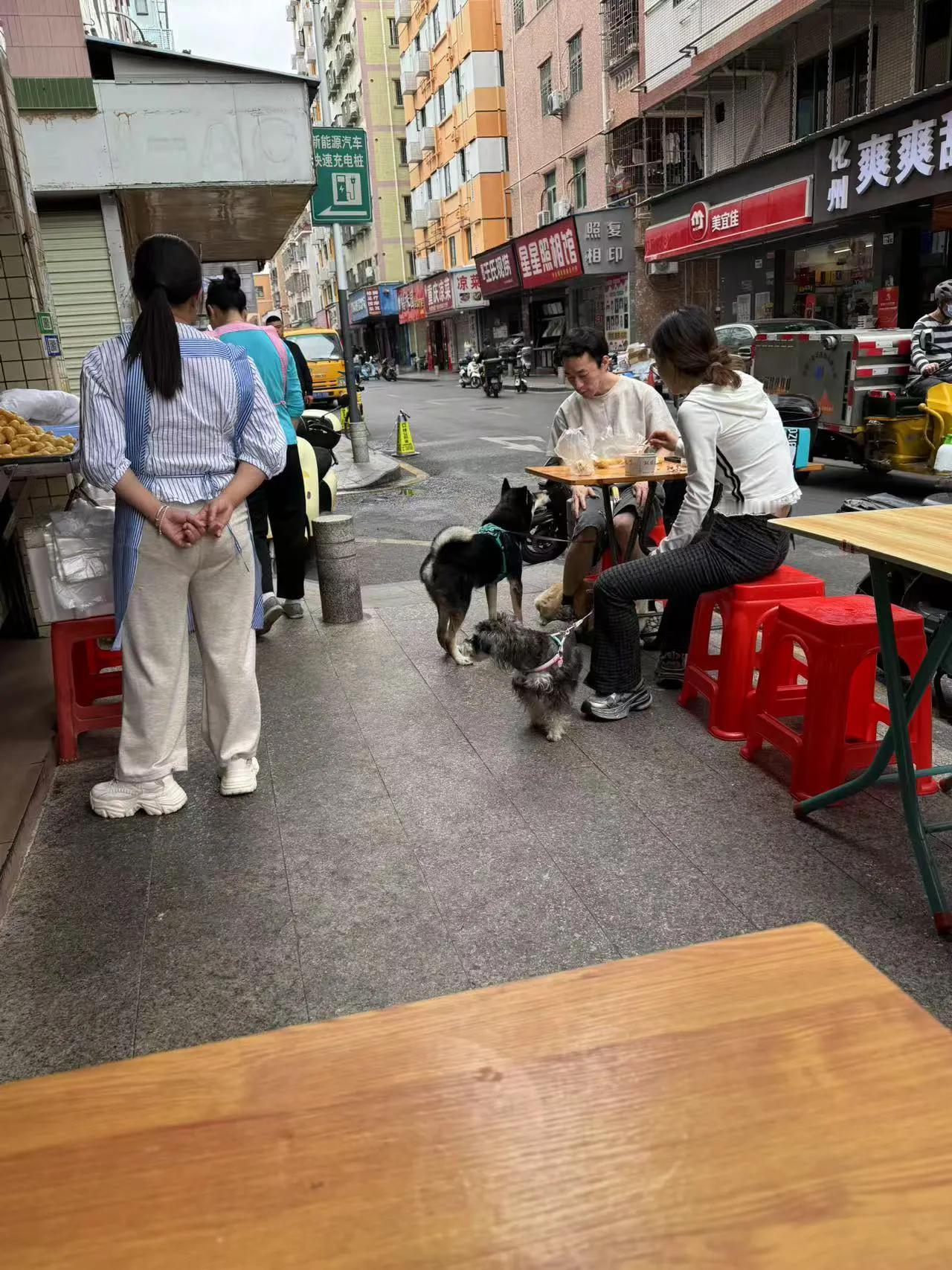 我九点多出去吃早餐的时候，看到的一幕：一个女孩子牵着一条狗出来，一个男孩子牵着两