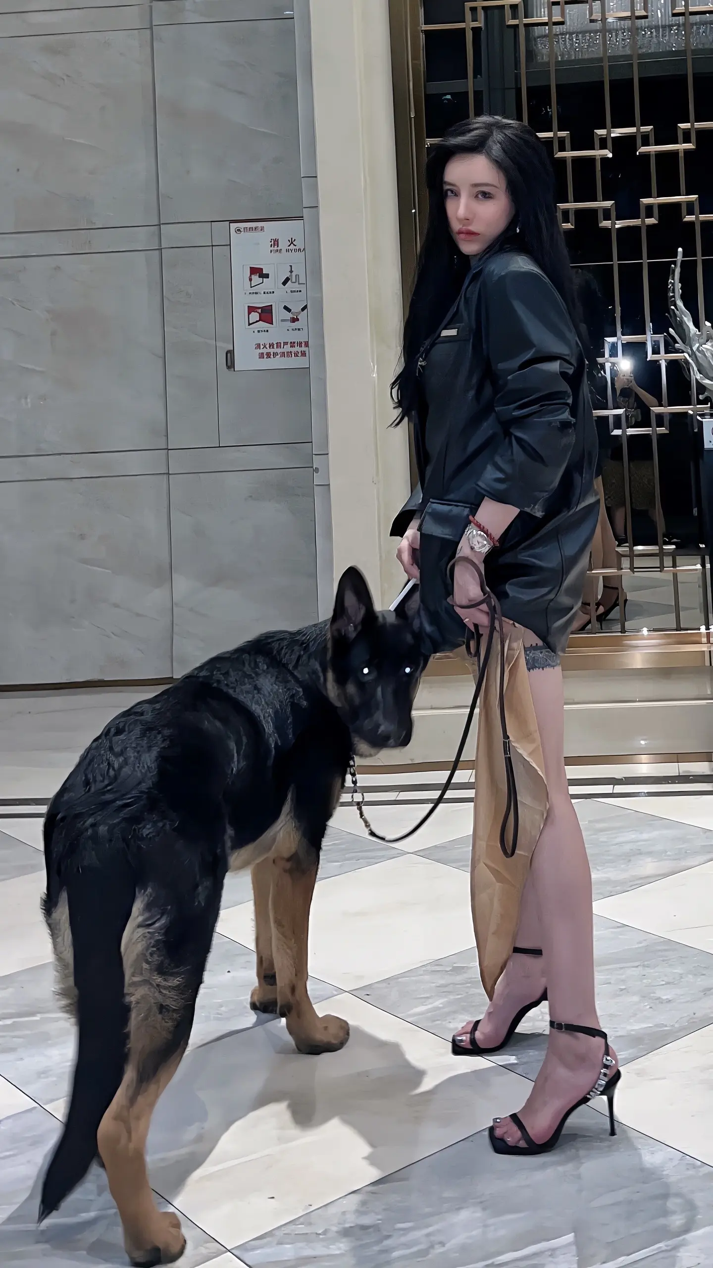 【德牧·巴克】狼若回头·