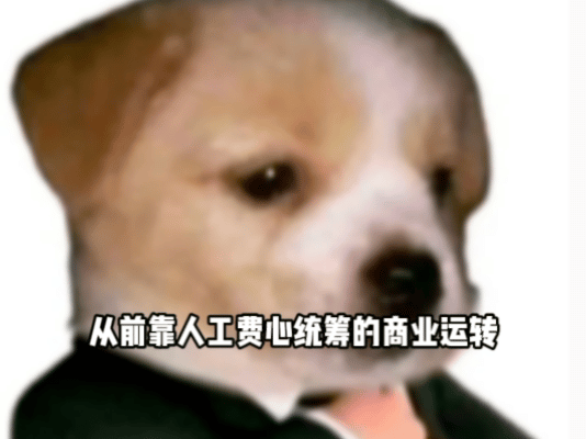 AI正在成为全球最大购物咨询入口在珠海见证商场AI化的另一面不止购物咨询！银泰M