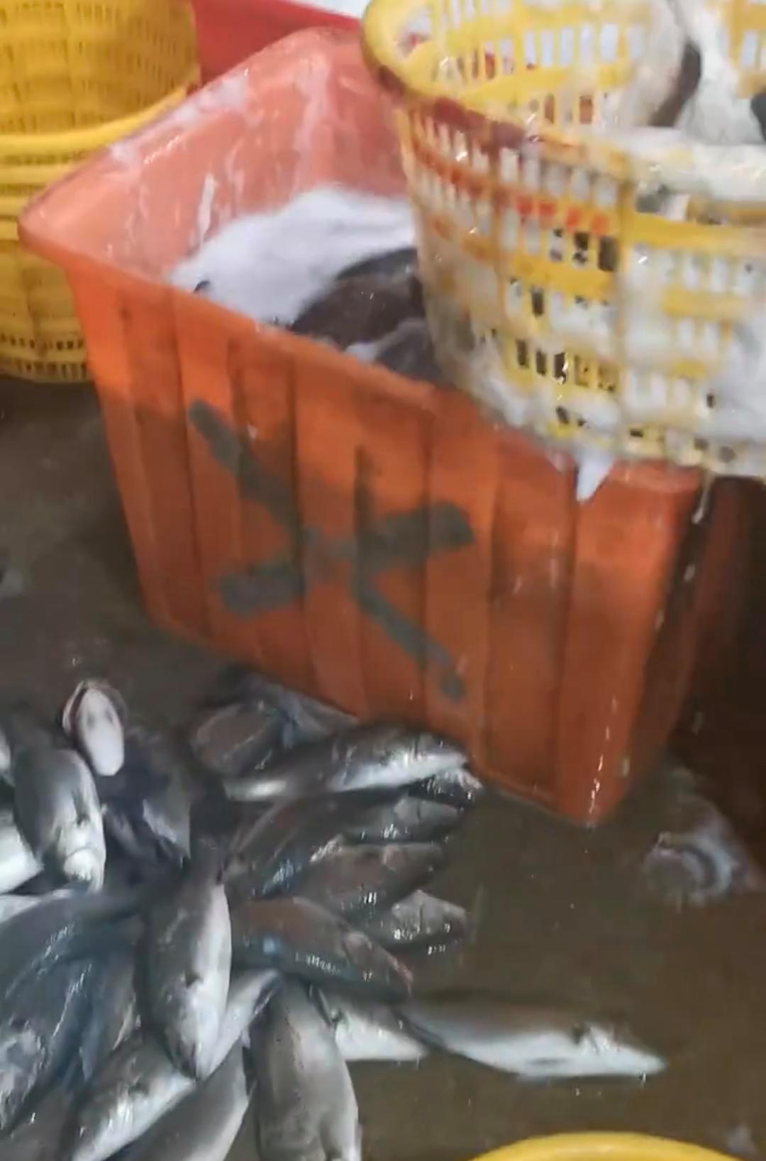 水产“镇静剂”风波：你吃的活鱼安全吗？背后的隐患与行业良知之殇

今年9月，网友