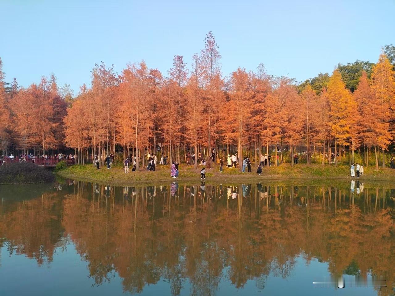 DeepSeek 给普通人的一生财务指南……
 
20-30岁：攒钱打底、试错成