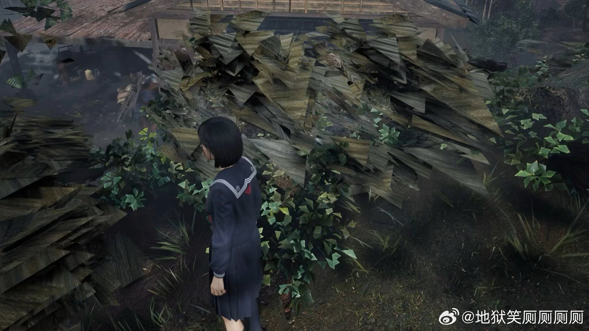 1224真不是买了不玩，主要是电脑是古老游戏本以至于打开寂静岭f以后这里的一草一