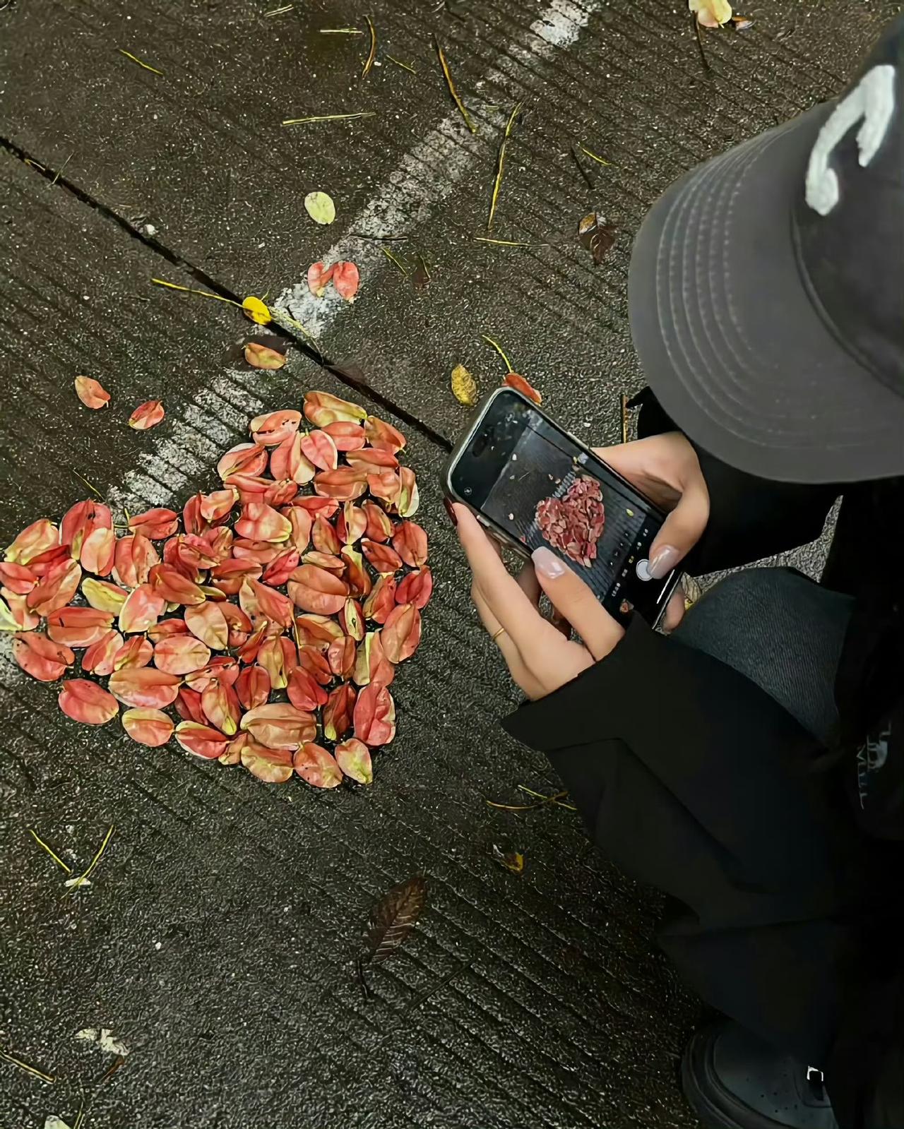 收集秋天，大自然寄给我们的明信片