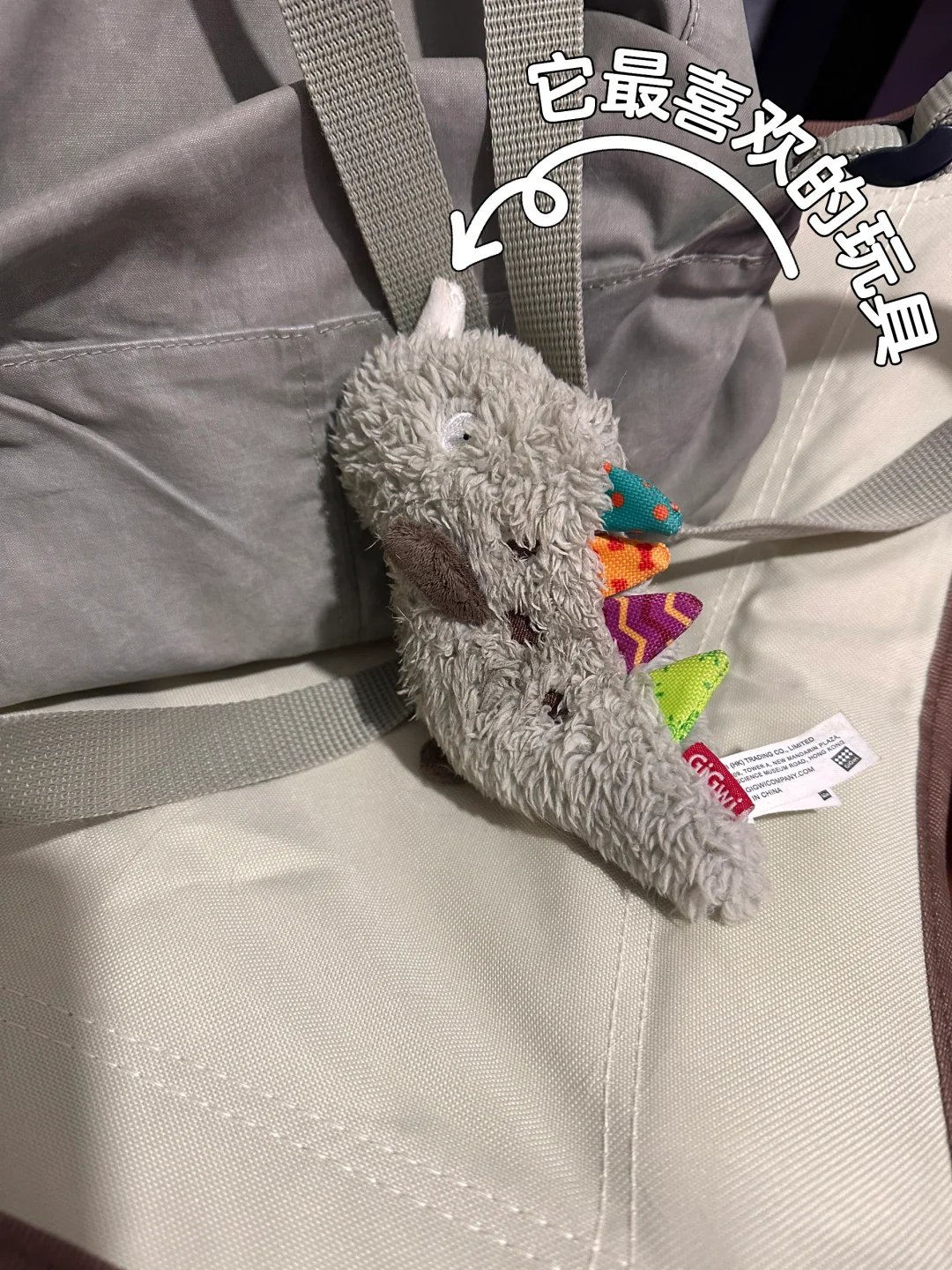 小狗把它最喜欢玩具放在旁边