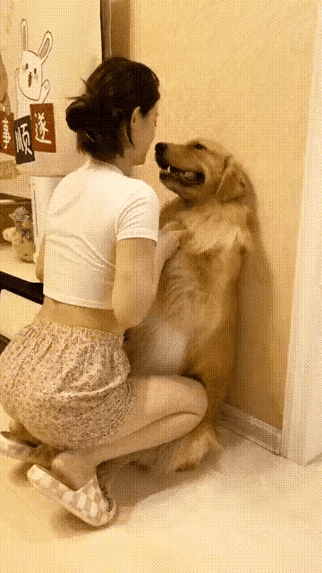 我活得还不如这只狗[捂脸][捂脸]
