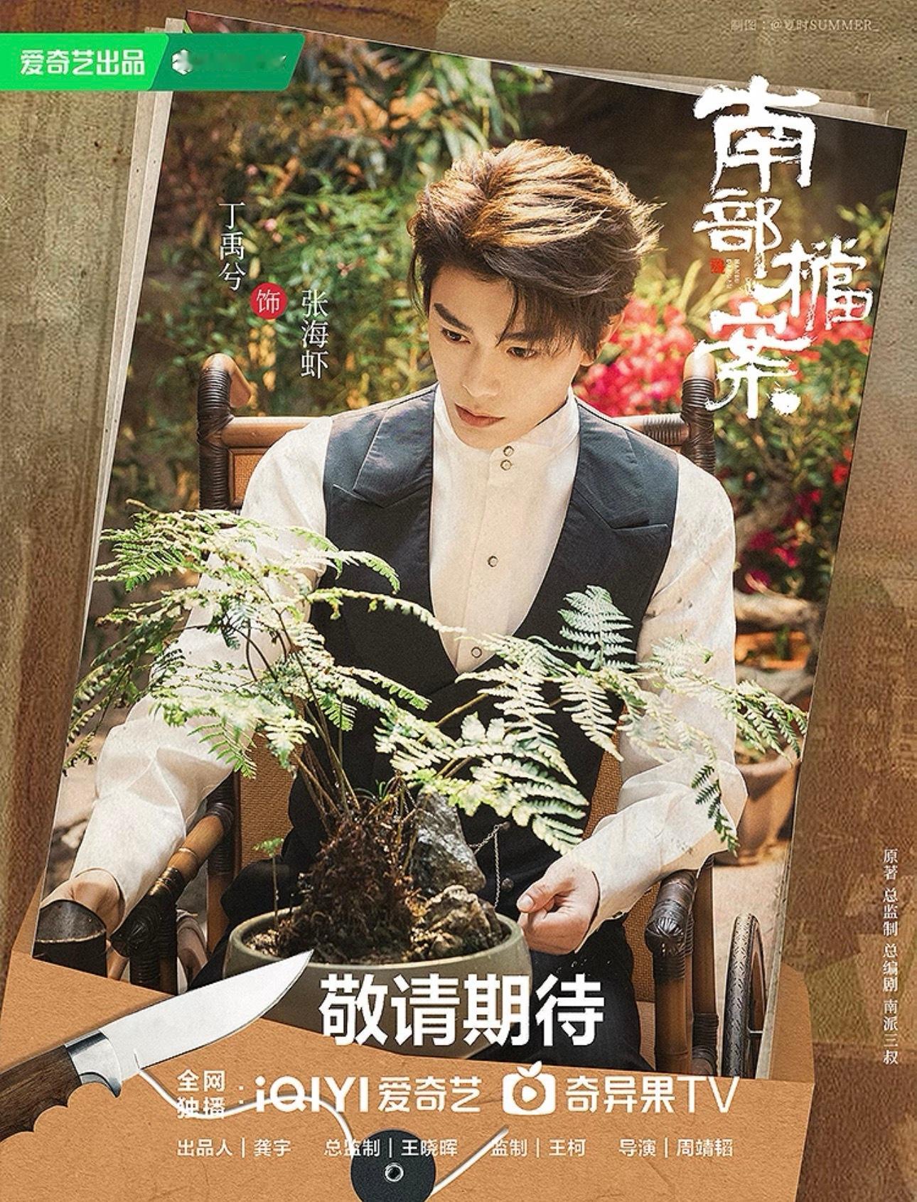 丁禹兮主演的南部档案过审了期待这个张海虾✌🏻丁禹兮
