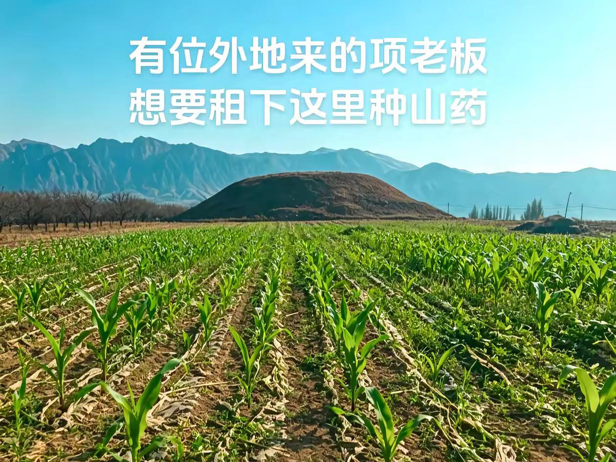 北派盗墓笔记 考古 项云峰 古墓 盗墓笔记