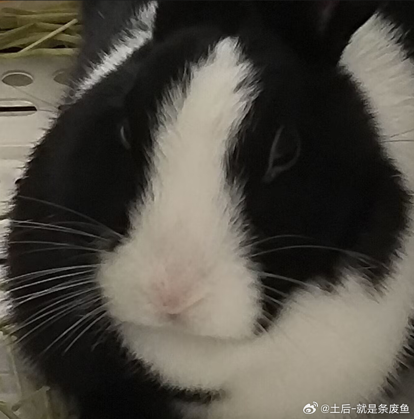 ◐咋么有下颚线 