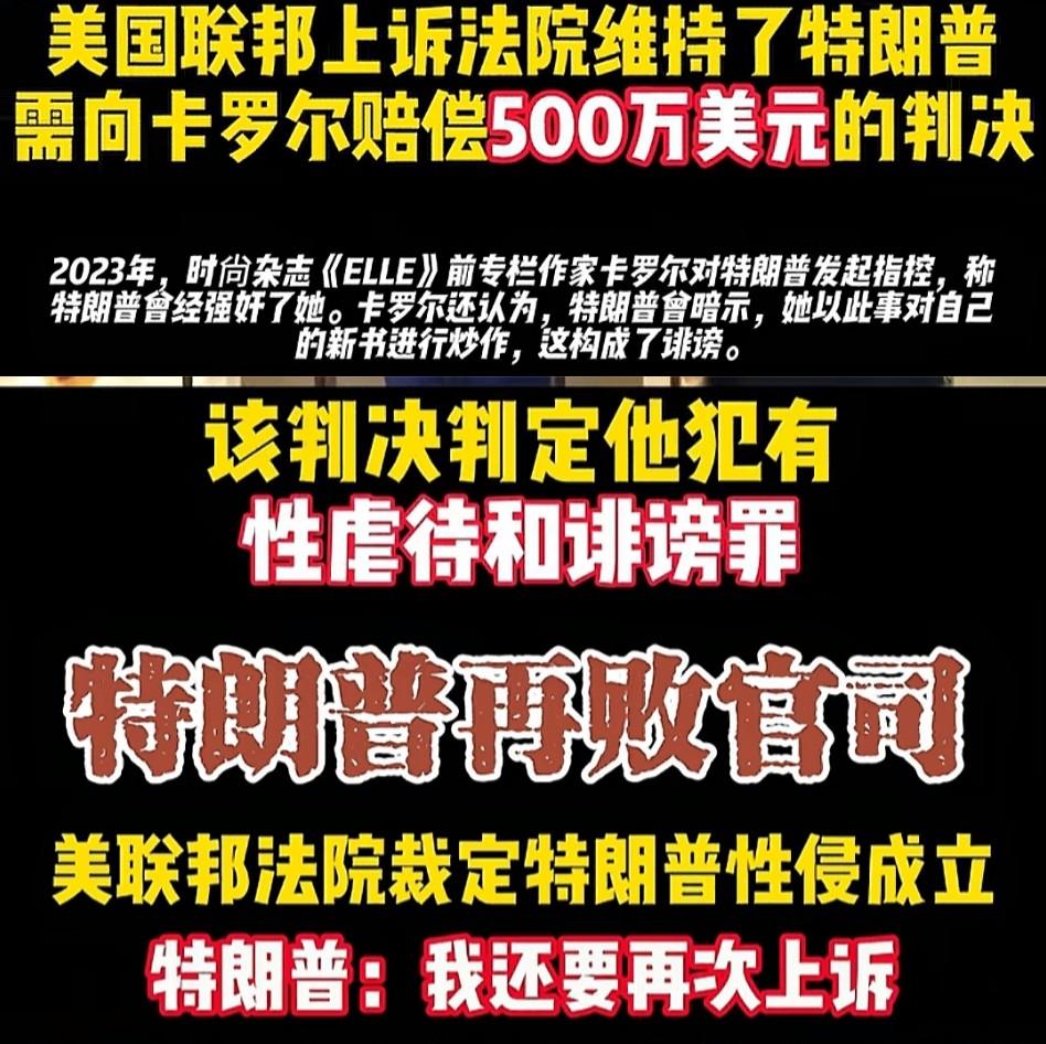 特朗普再次吃败官司，说明民主党目前还有一席之地。距离特朗普上任还有不到20天