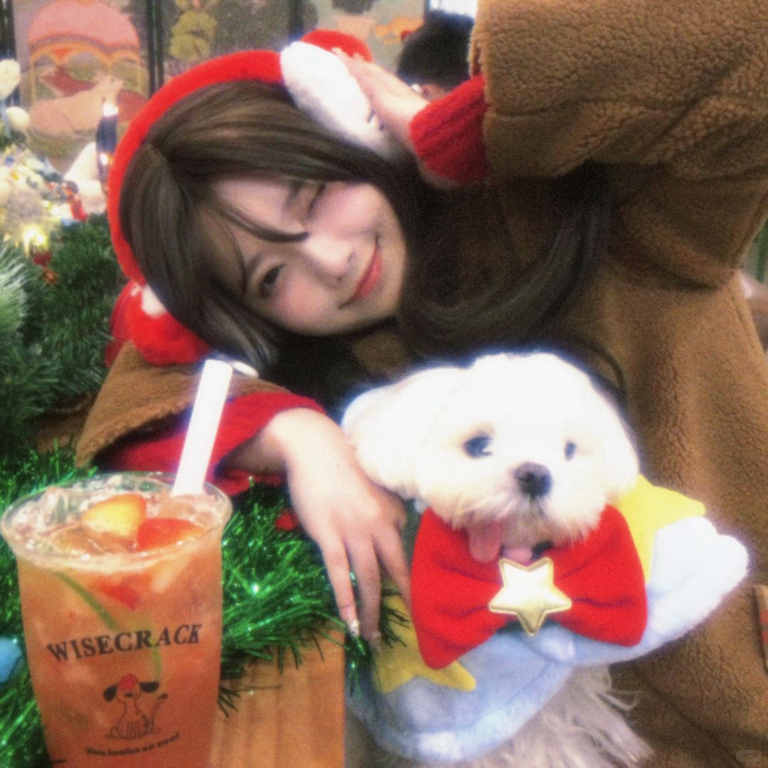 👧🏻♡🍎 ˖ ◛ ⁺
