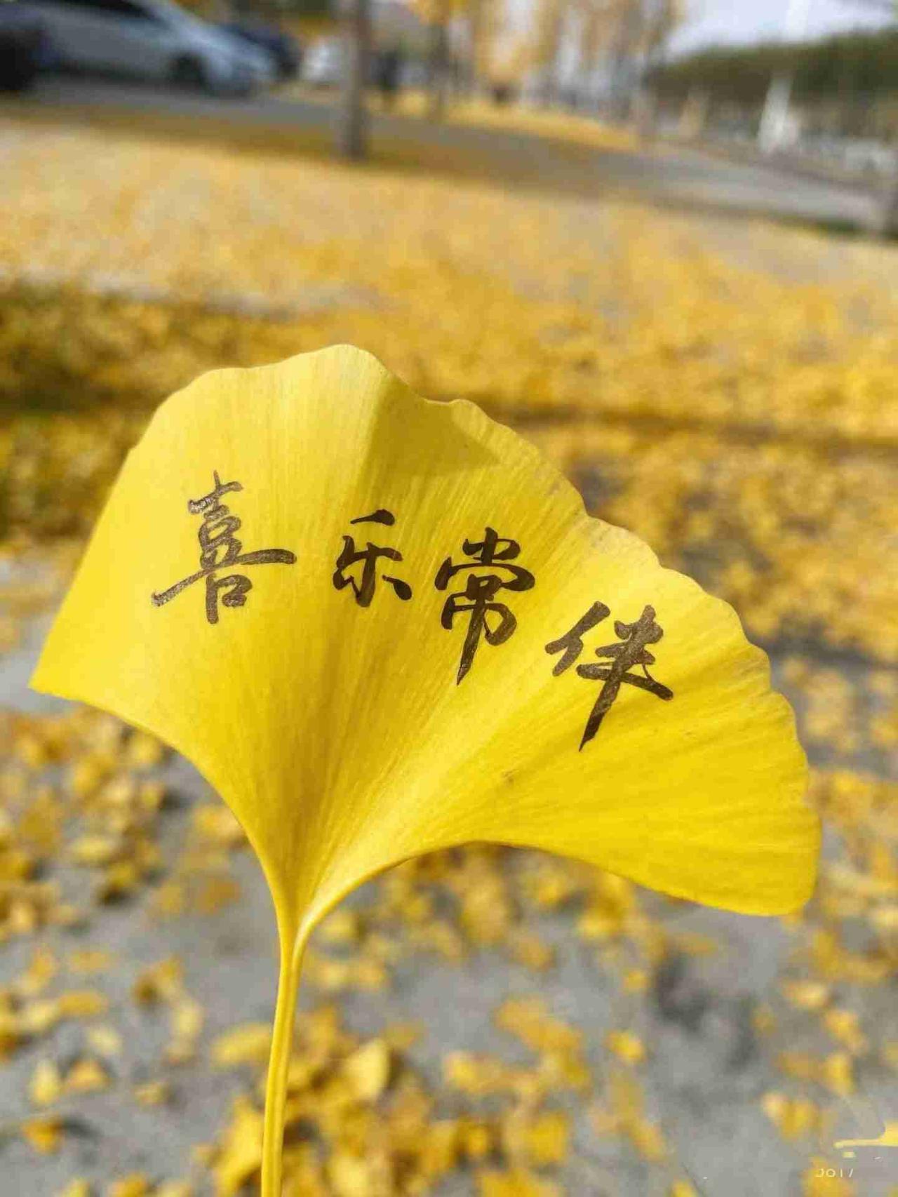 我的今日状态：😁轻松愉快
我这里的天气：☀️晴天