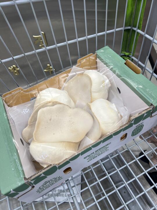 韩国emart traders仓储超市白灵菇超好吃