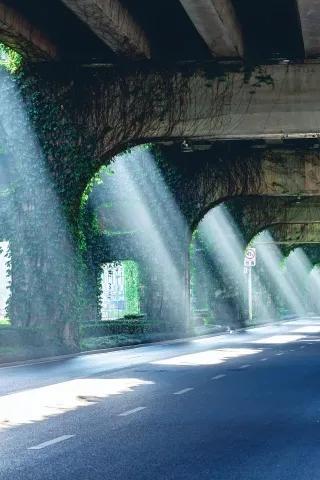 这儿是有点神…