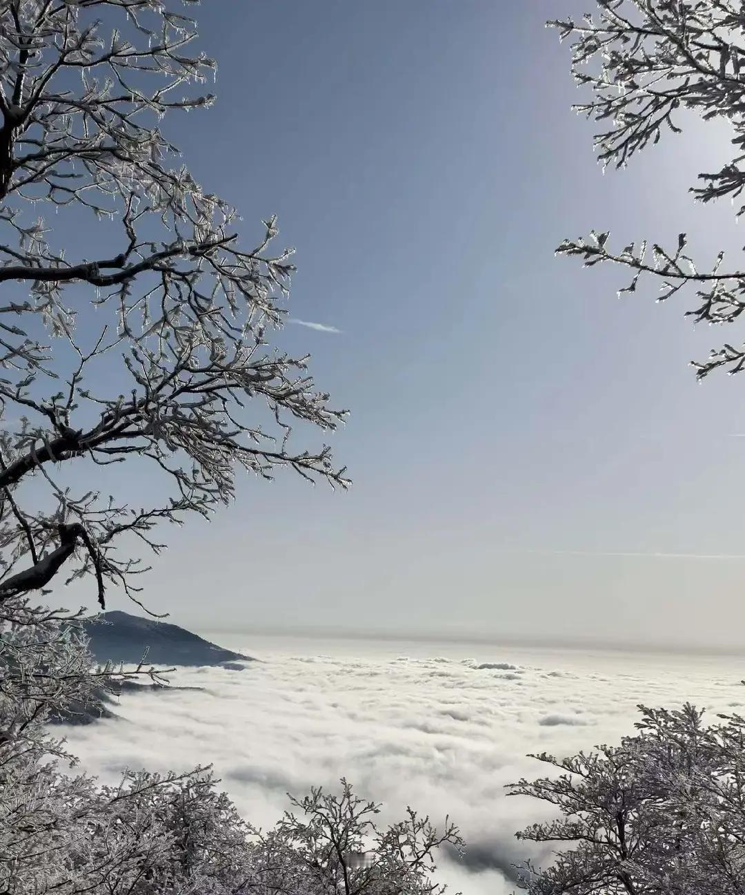 抖音刷到一条“双子吃得比猫少，赚钱比驴狠，花钱只给爸妈”的段子，点进去一看，28