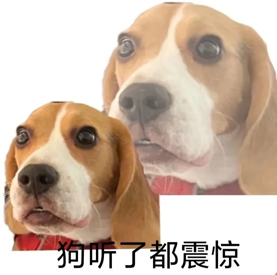 炸了呀💥宝子们！快带着答案报名吧！