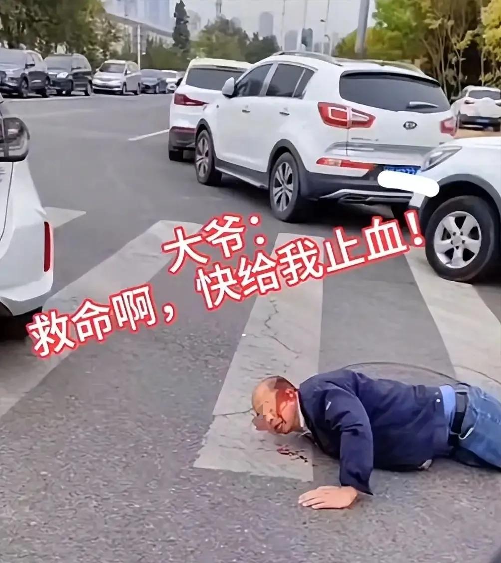 这起交通事故让人笑不活了！
媳妇看到这则新闻时，就一直笑，我也看了一下！

近日