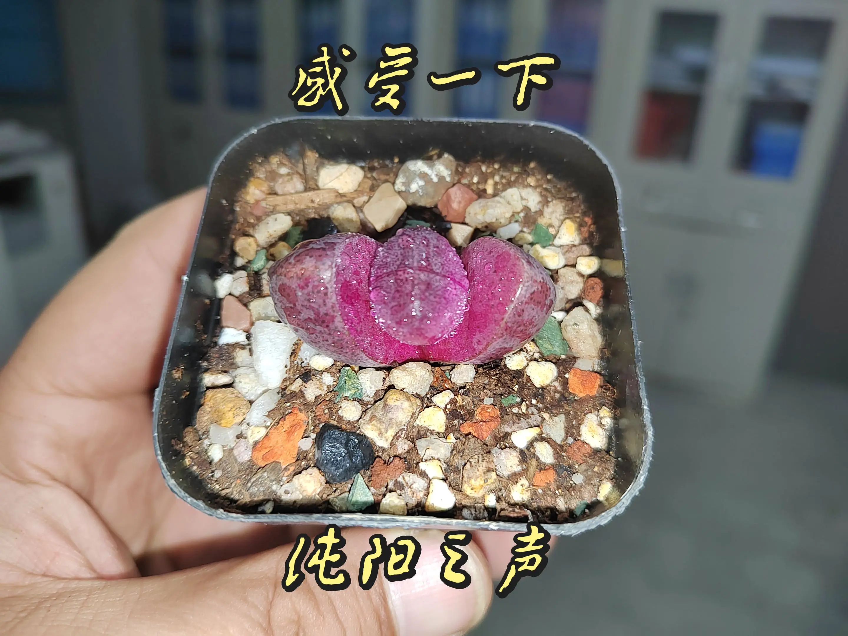 一曲多寂寥道不尽当年！