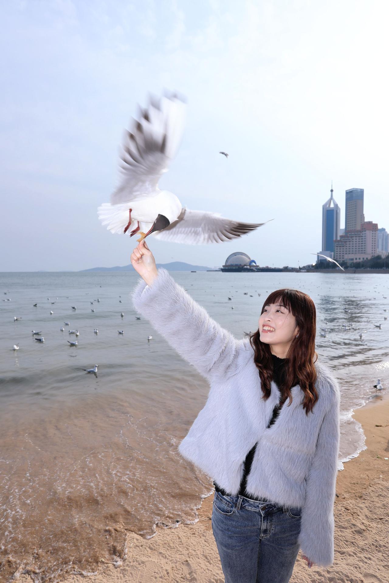 人像摄影约拍跟拍青岛海边 栈桥海鸥 台湾女孩在大陆 台湾女孩在青岛喂海鸥原创原图